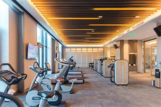 Cara Ngatur Gym: Pandhuan kanggo Zona Functions