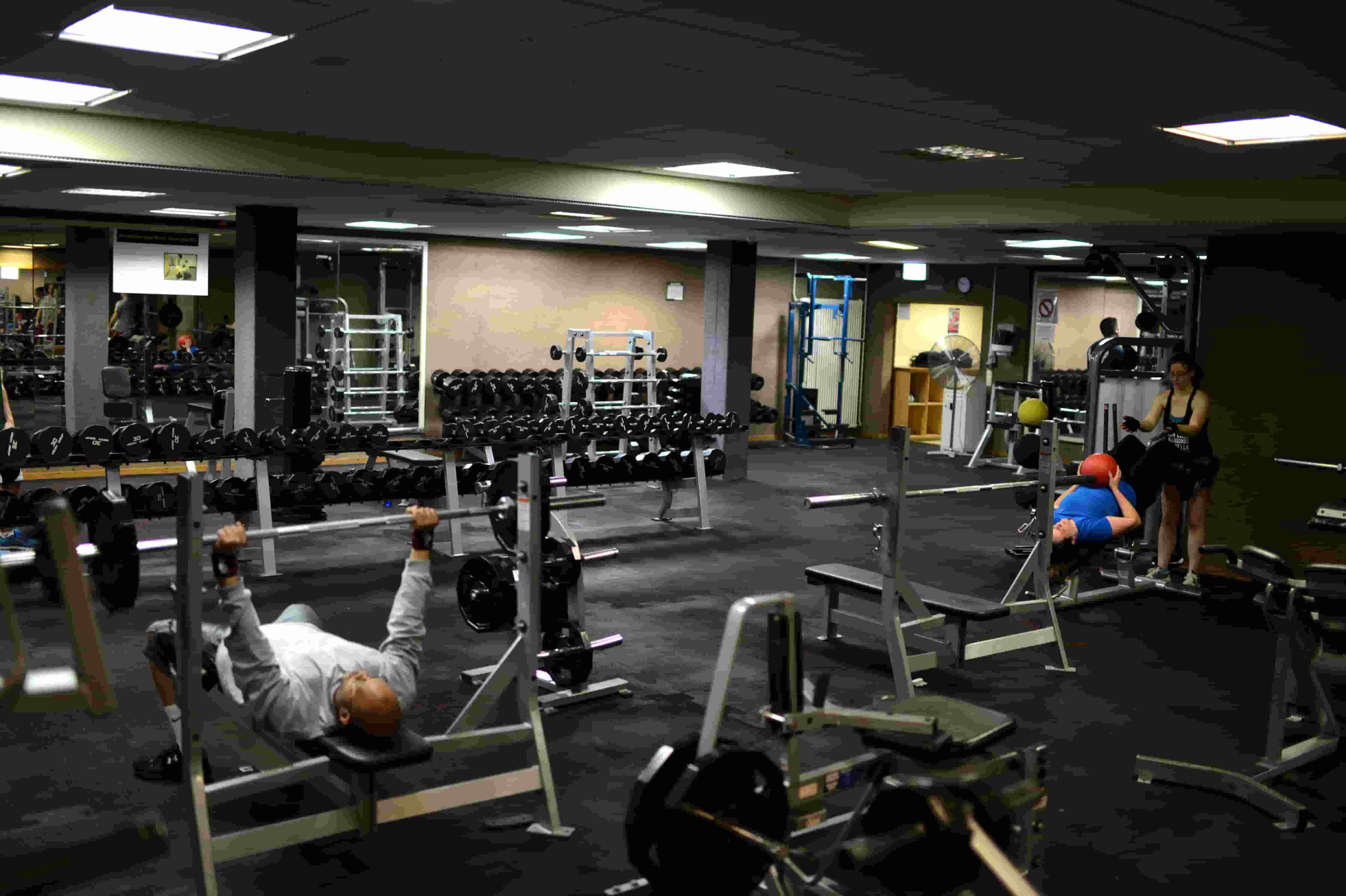 Pitu Latihan kanggo Mbantu Sampeyan Nggawe Otot Cepet lan Nggawe Fisik sing Apik